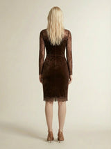 SOFIE | Robe Mini Velours Castanho con Pizzo Elegante